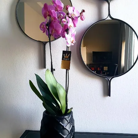 Apartament Bella Vista *